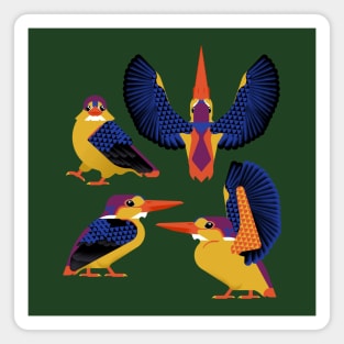 Oriental dwarf kingfisher Magnet